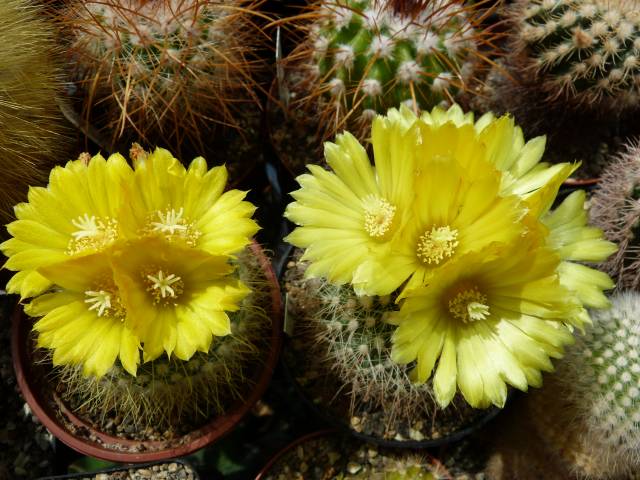 Bild