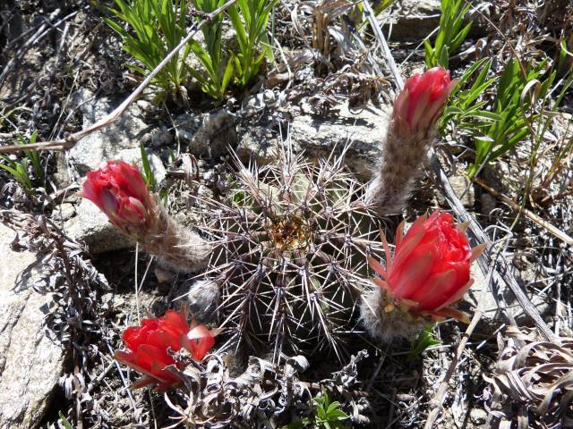 Bild